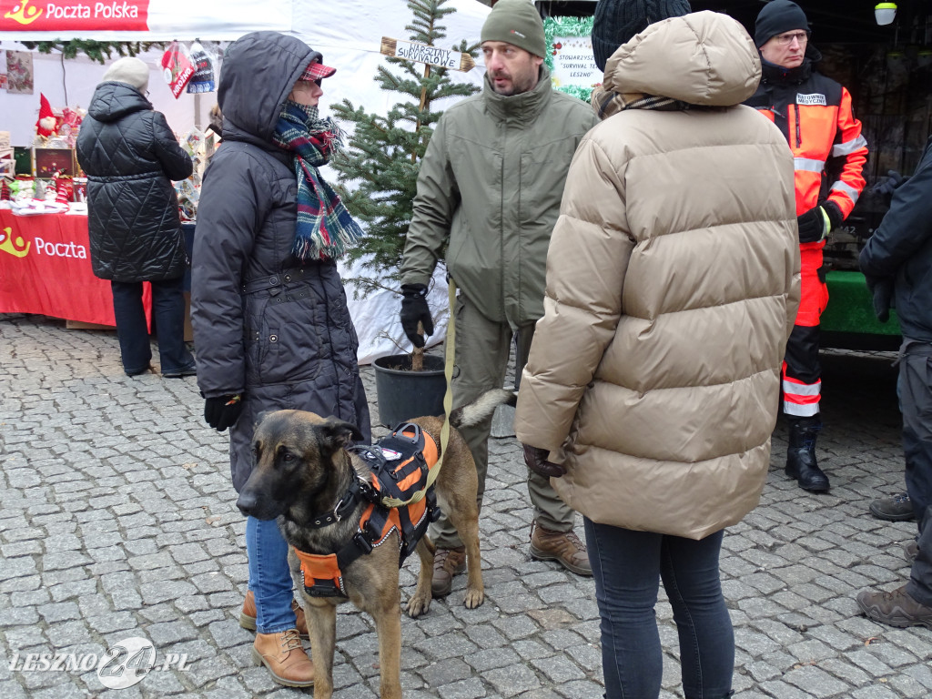 Ekstremalne Mikołajki z NGO w Lesznie