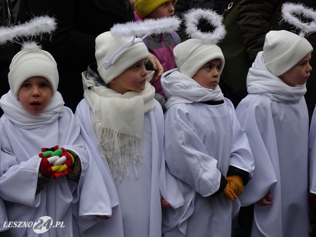 Ekstremalne Mikołajki z NGO w Lesznie