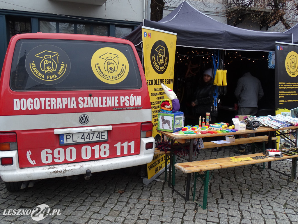 Ekstremalne Mikołajki z NGO w Lesznie