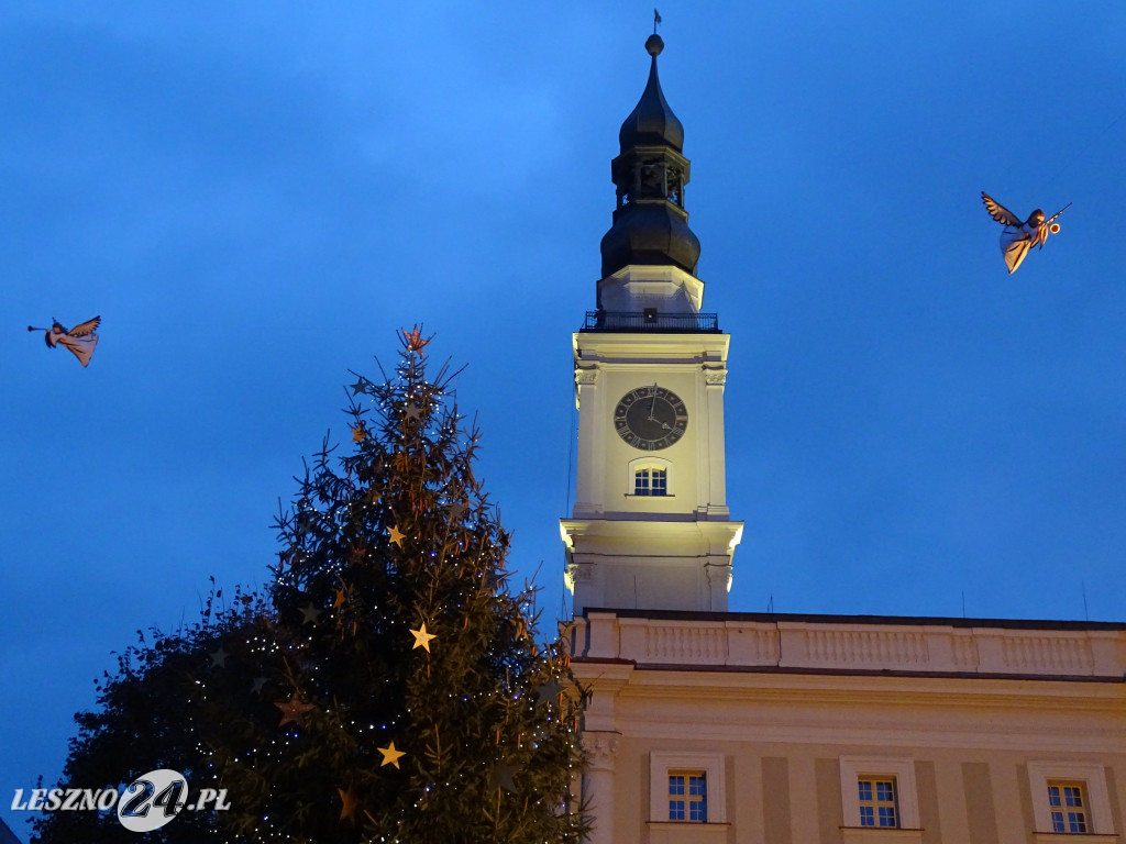 Ekstremalne Mikołajki z NGO w Lesznie