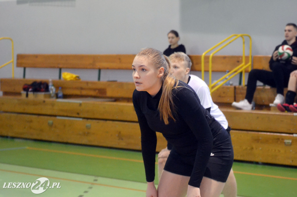 Zagrali dla Wielkiej Orkiestry