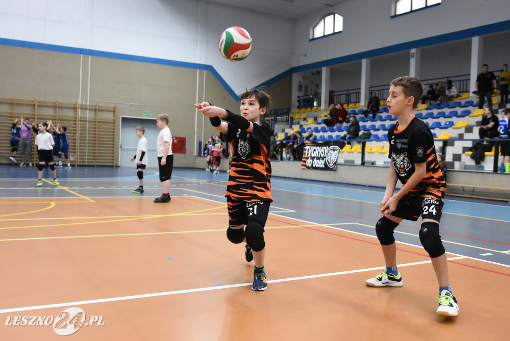 Sukcesy nad Odrą