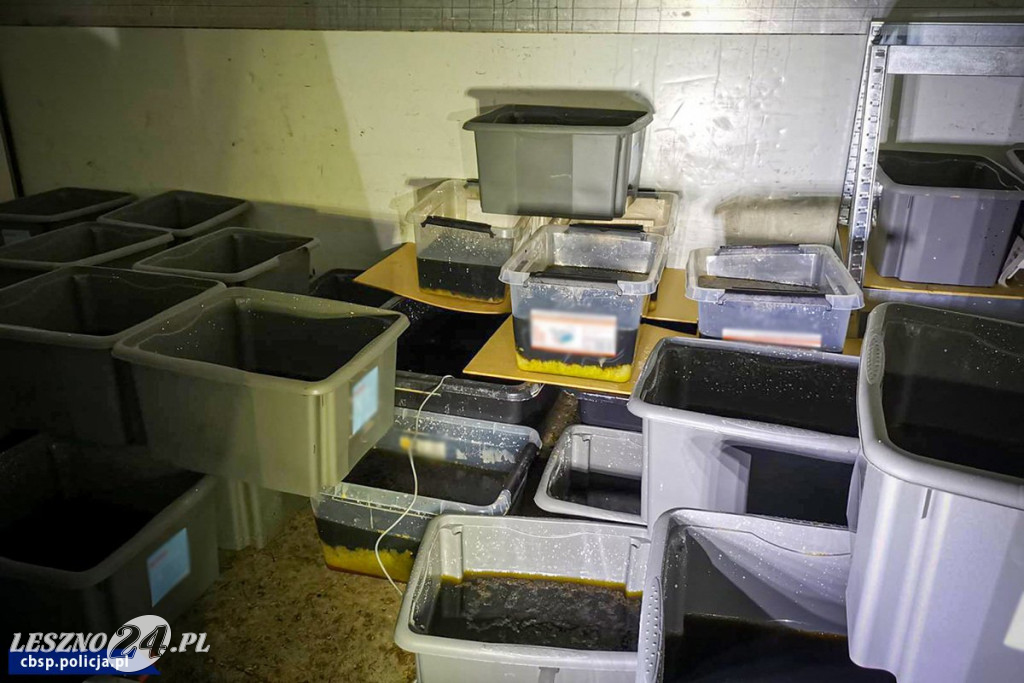 CBŚ zlikwidowało laboratorium dopalaczy