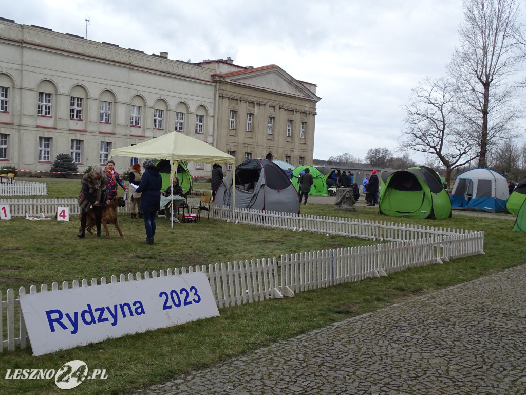 Wystawa Psów Rasowych Duo Prestige Cup Rydzyna 2023