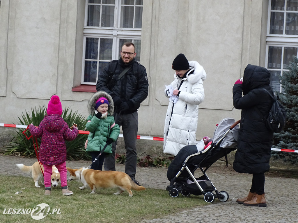 Wystawa Psów Rasowych Duo Prestige Cup Rydzyna 2023