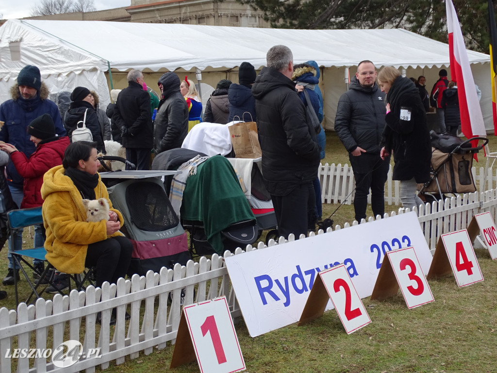 Wystawa Psów Rasowych Duo Prestige Cup Rydzyna 2023