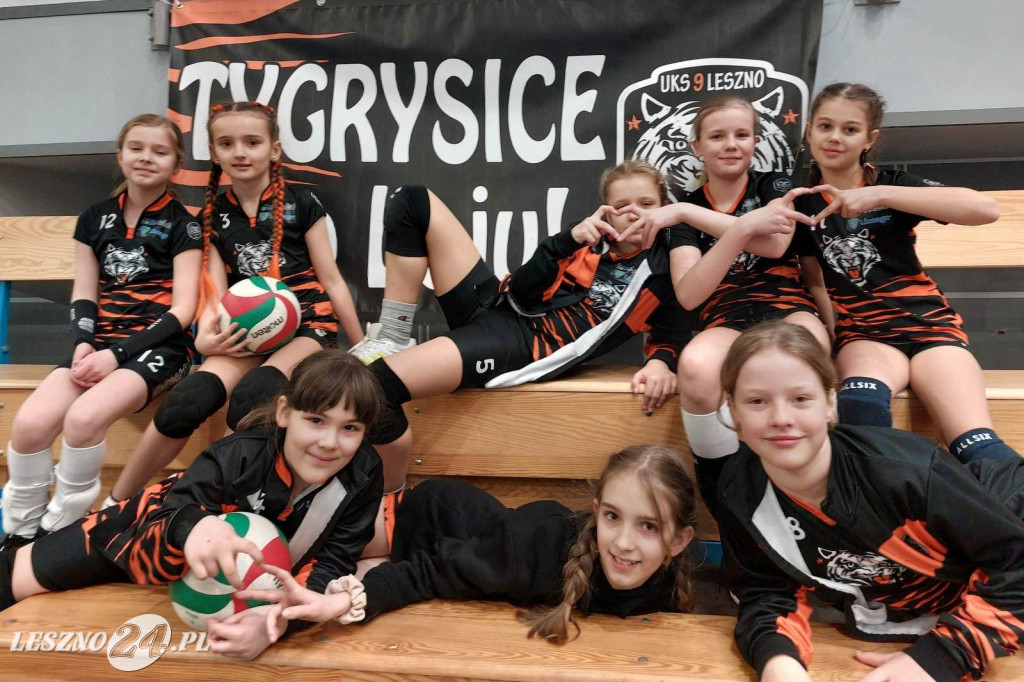 Tygryski pod siatką