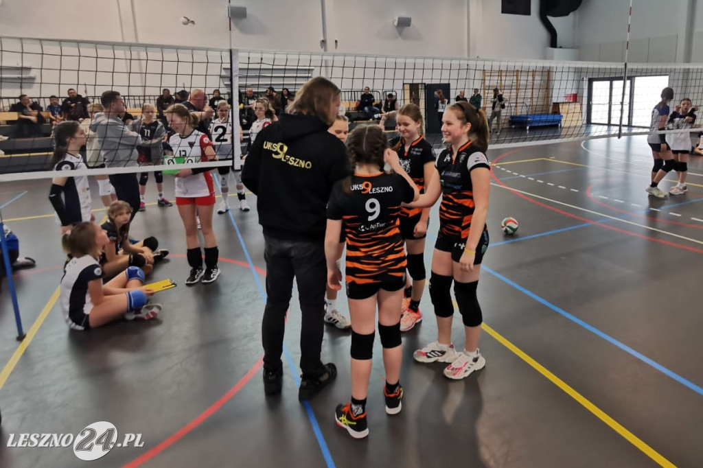 Tygryski pod siatką