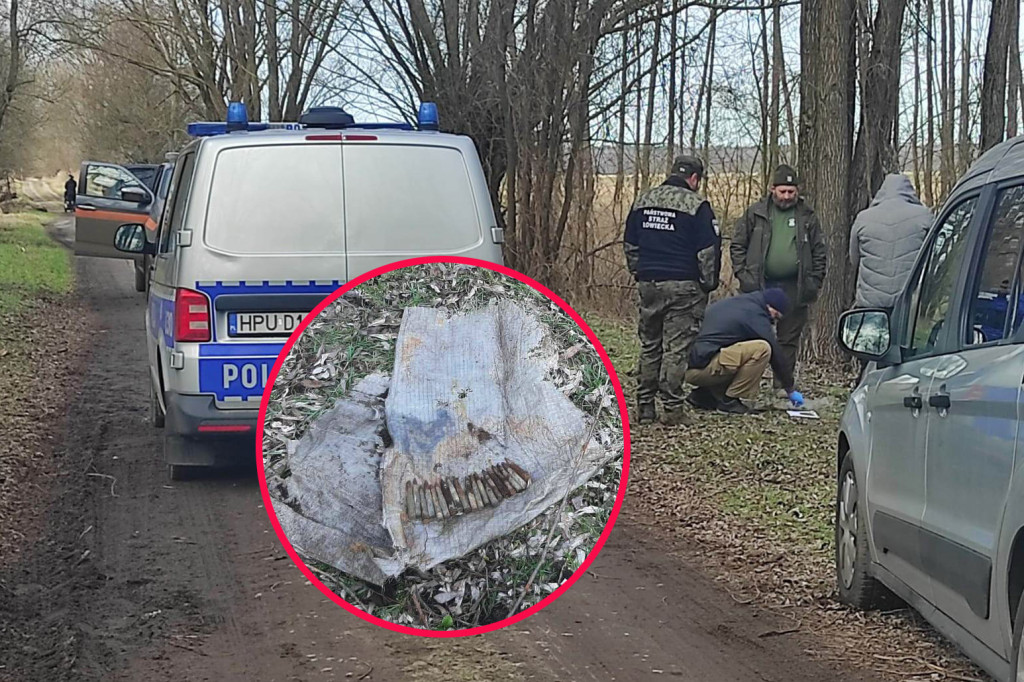 Mężczyzna z pociskami zatrzymany w lesie