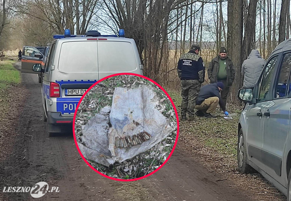 Mężczyzna z pociskami zatrzymany w lesie