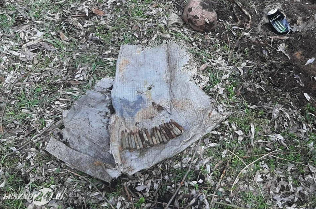 Mężczyzna z pociskami zatrzymany w lesie