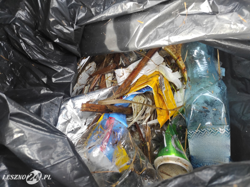 Wiosenne porządki na zbiorniku