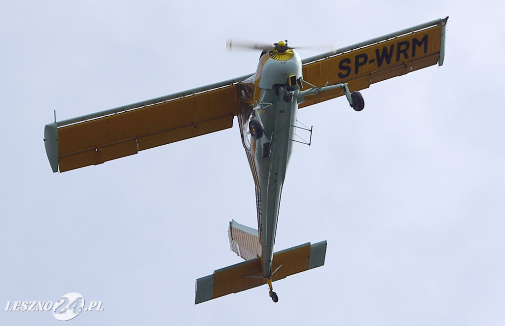 Pogrzeb Stefana Grysa