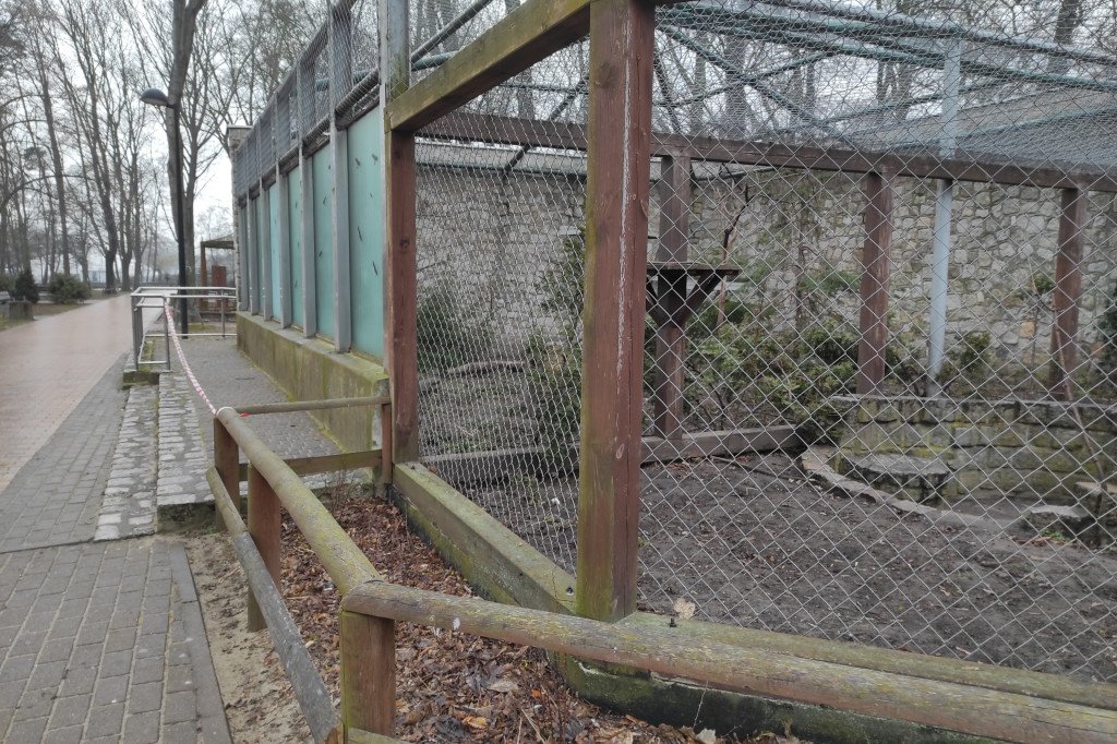 Rozbita szyba na wybiegu szopów