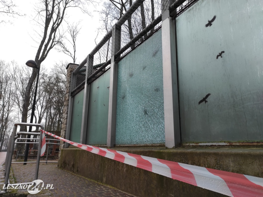 Rozbita szyba na wybiegu szopów