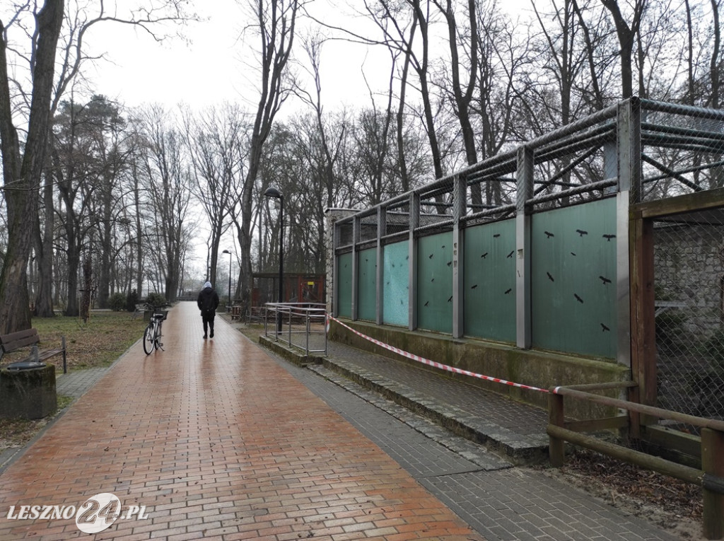 Rozbita szyba na wybiegu szopów