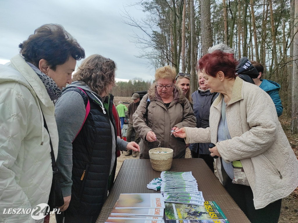 Wiosenne sadzenie lasu