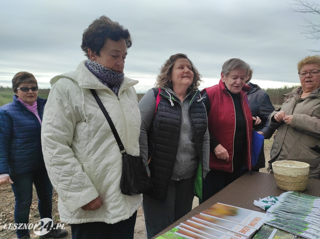 Wiosenne sadzenie lasu