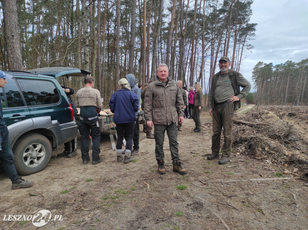 Wiosenne sadzenie lasu