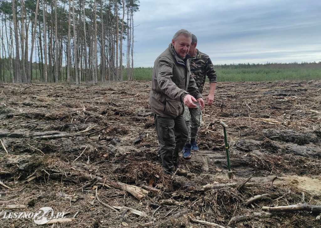 Wiosenne sadzenie lasu