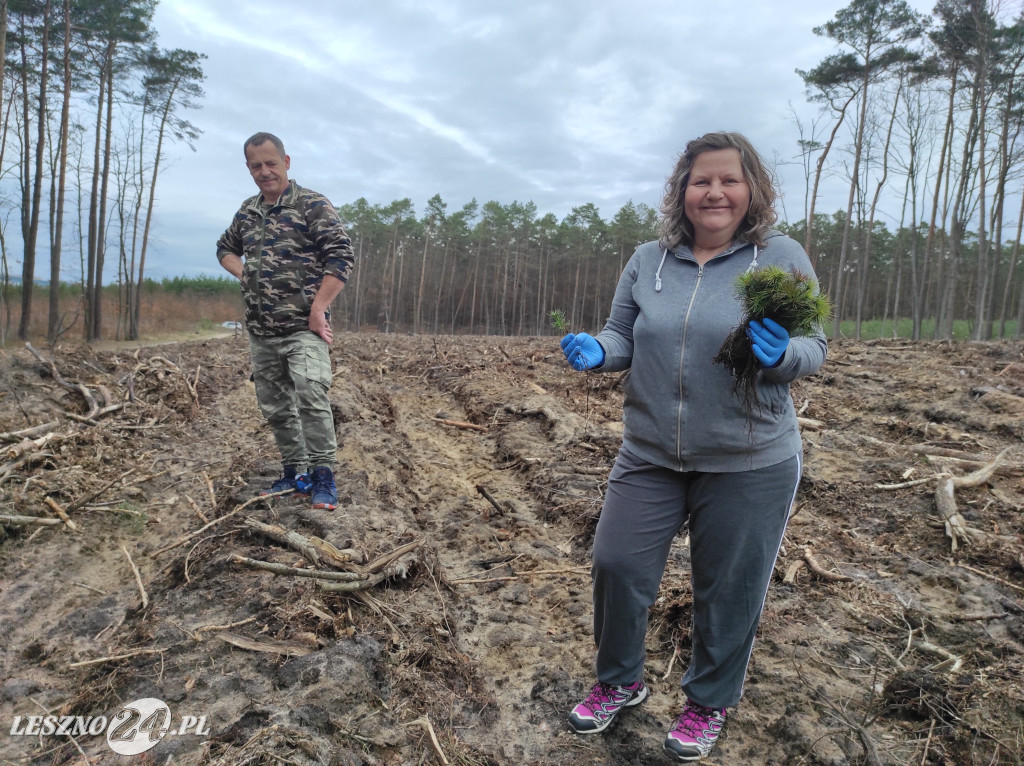 Wiosenne sadzenie lasu