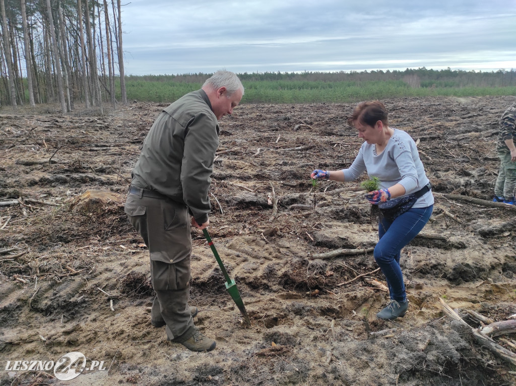 Wiosenne sadzenie lasu