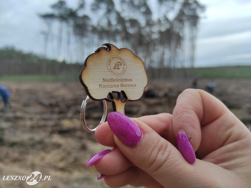 Wiosenne sadzenie lasu