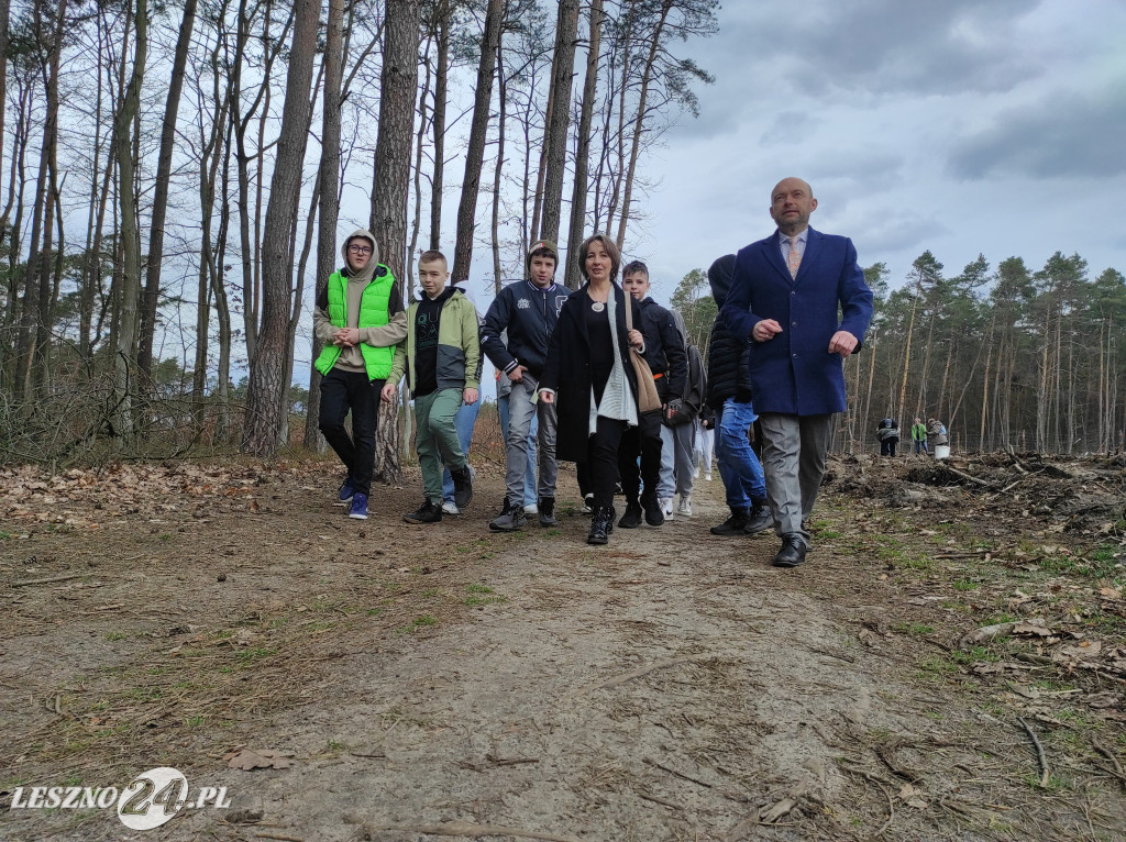 Wiosenne sadzenie lasu