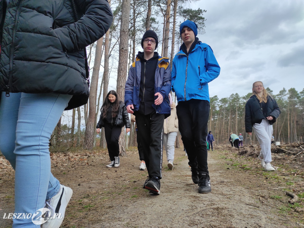 Wiosenne sadzenie lasu