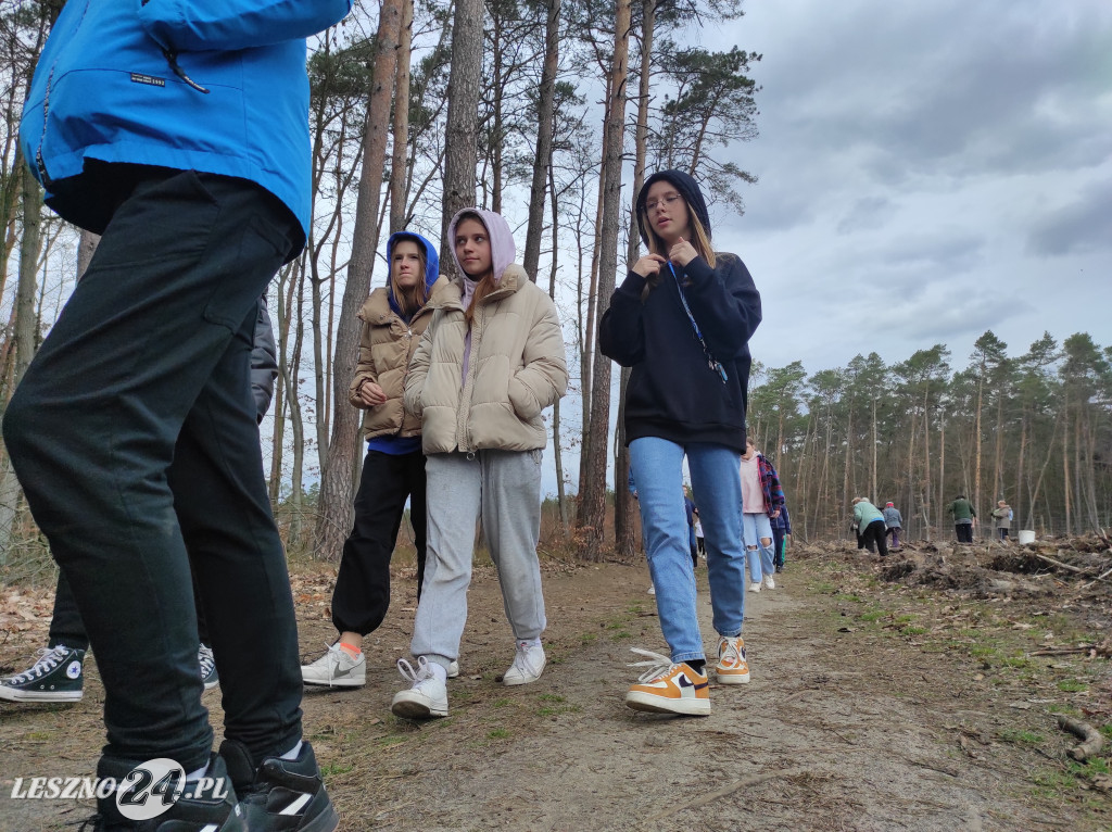 Wiosenne sadzenie lasu