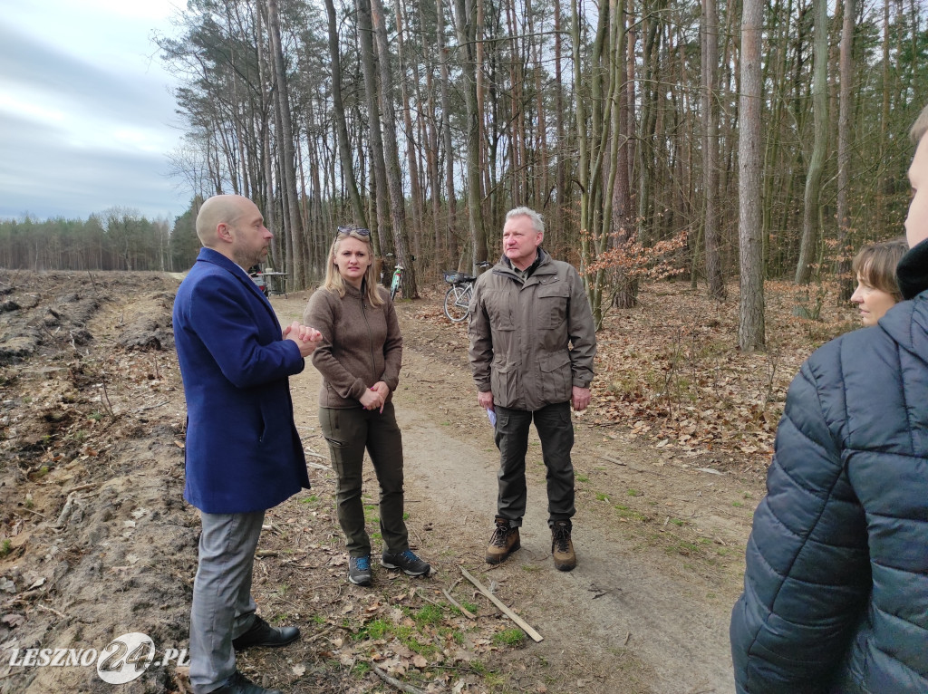 Wiosenne sadzenie lasu