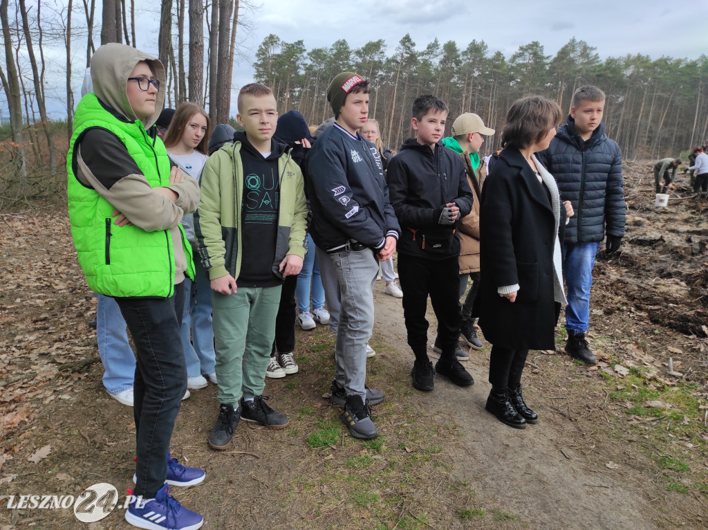 Wiosenne sadzenie lasu