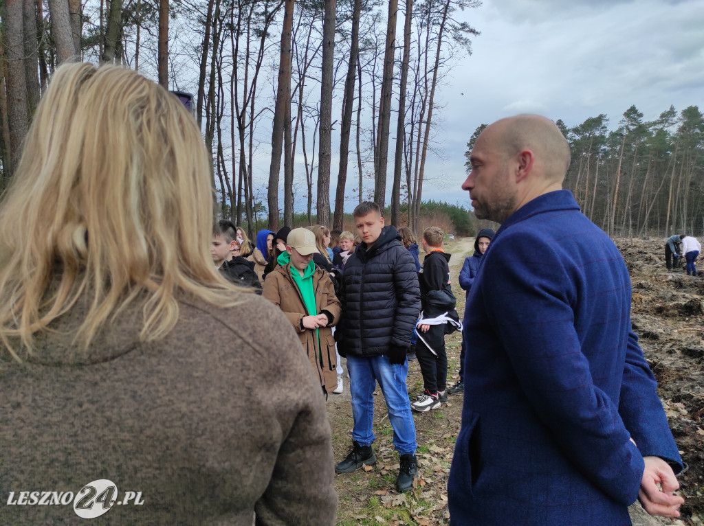 Wiosenne sadzenie lasu