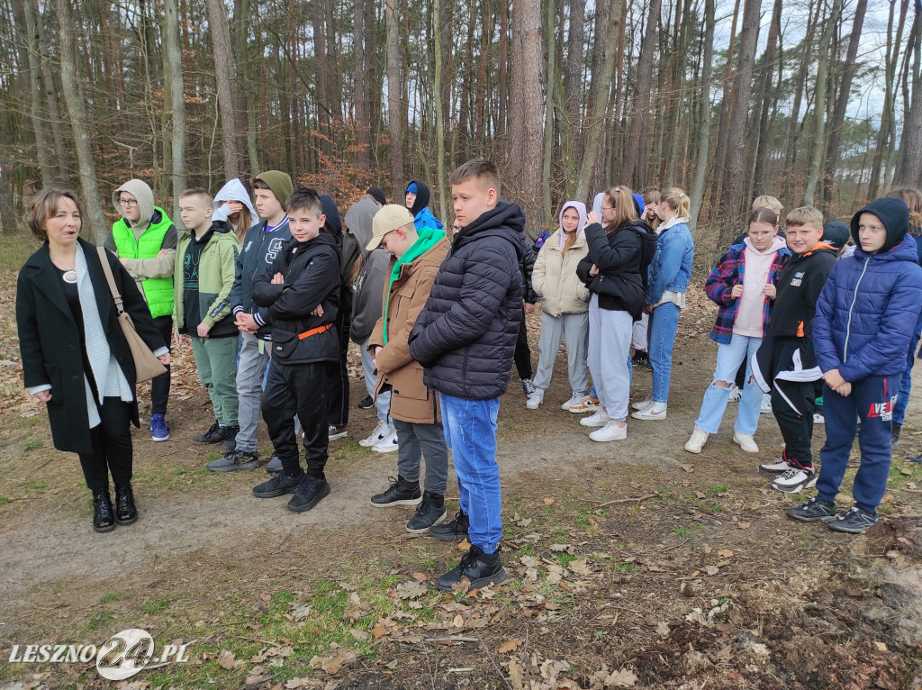Wiosenne sadzenie lasu