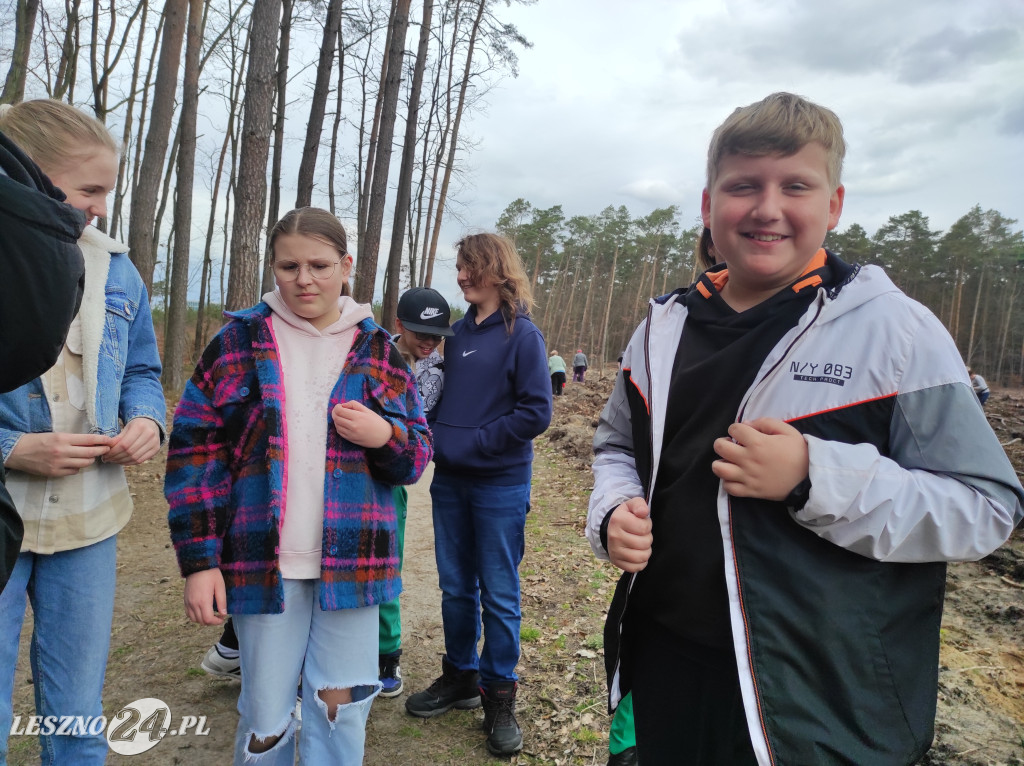 Wiosenne sadzenie lasu