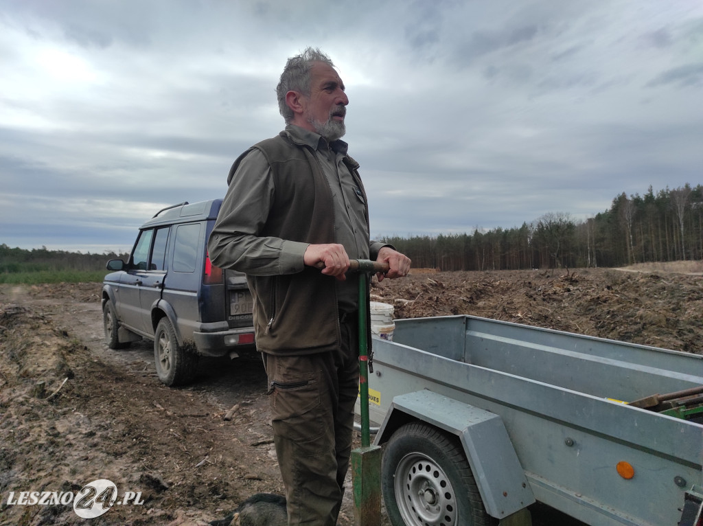 Wiosenne sadzenie lasu