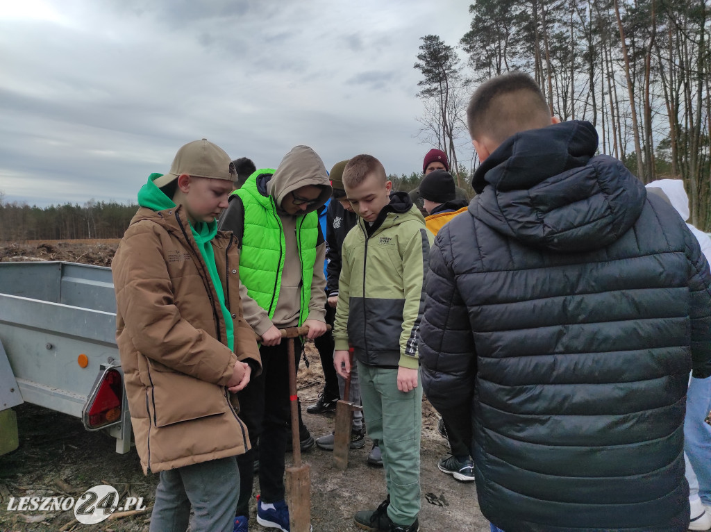 Wiosenne sadzenie lasu