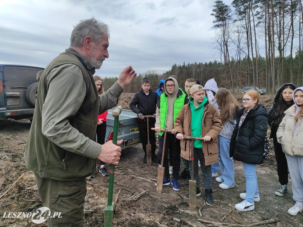 Wiosenne sadzenie lasu