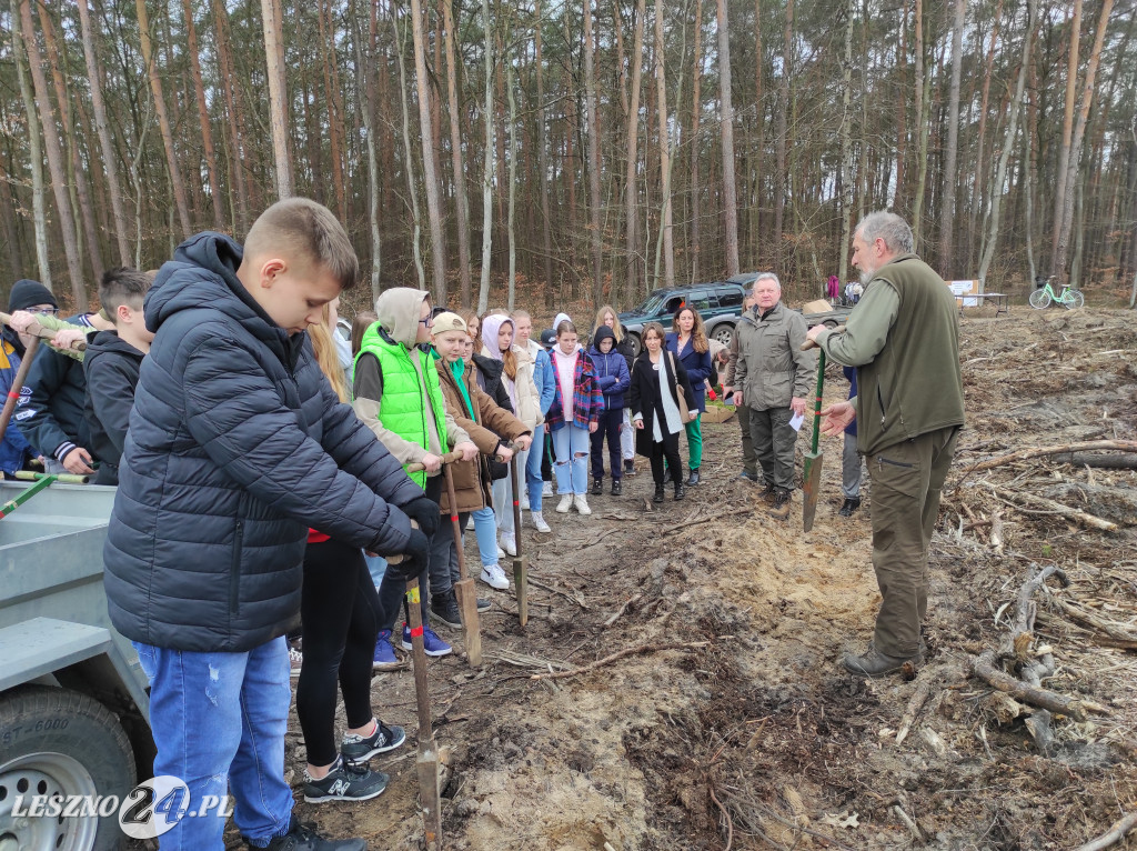 Wiosenne sadzenie lasu