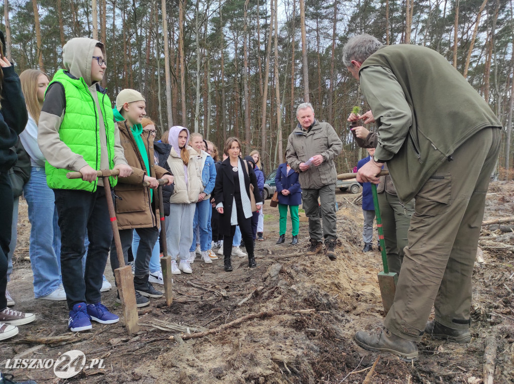 Wiosenne sadzenie lasu