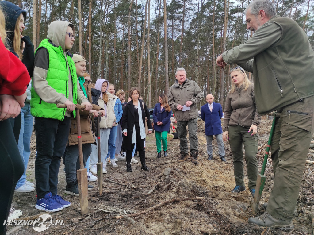 Wiosenne sadzenie lasu