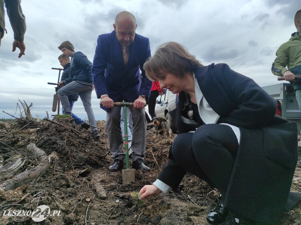 Wiosenne sadzenie lasu