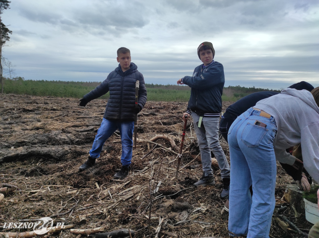 Wiosenne sadzenie lasu