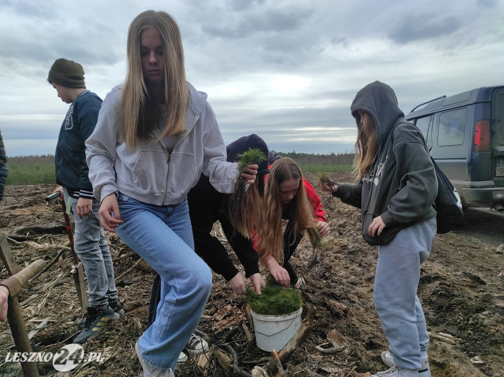 Wiosenne sadzenie lasu