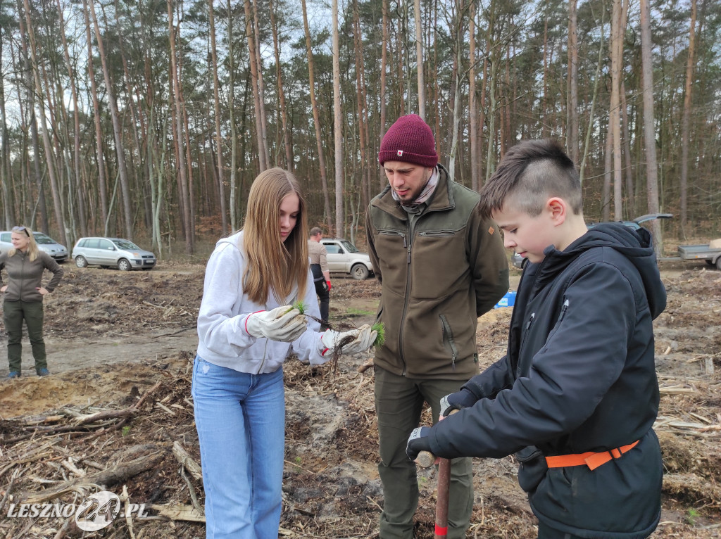 Wiosenne sadzenie lasu
