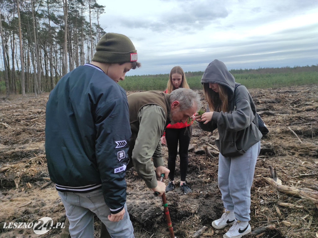 Wiosenne sadzenie lasu