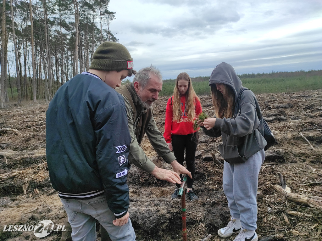 Wiosenne sadzenie lasu