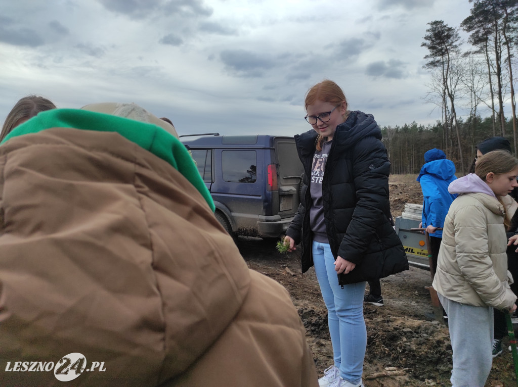 Wiosenne sadzenie lasu