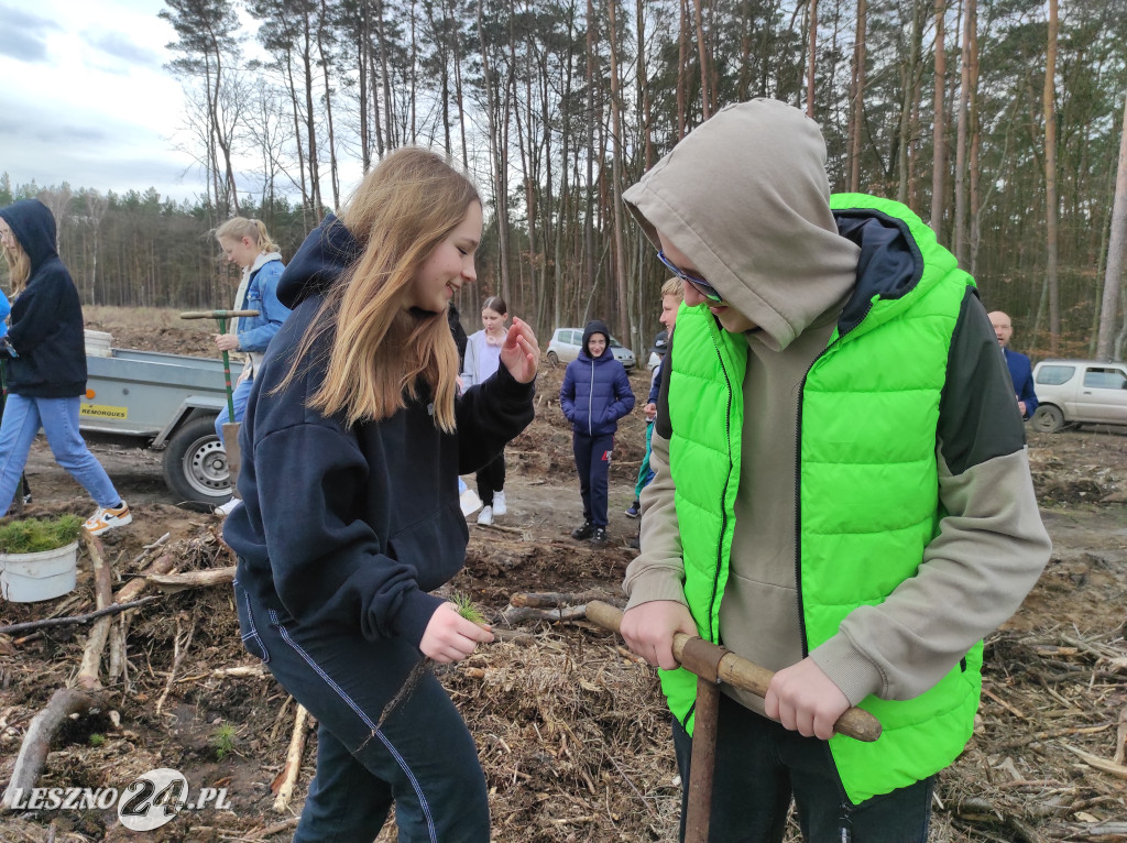 Wiosenne sadzenie lasu