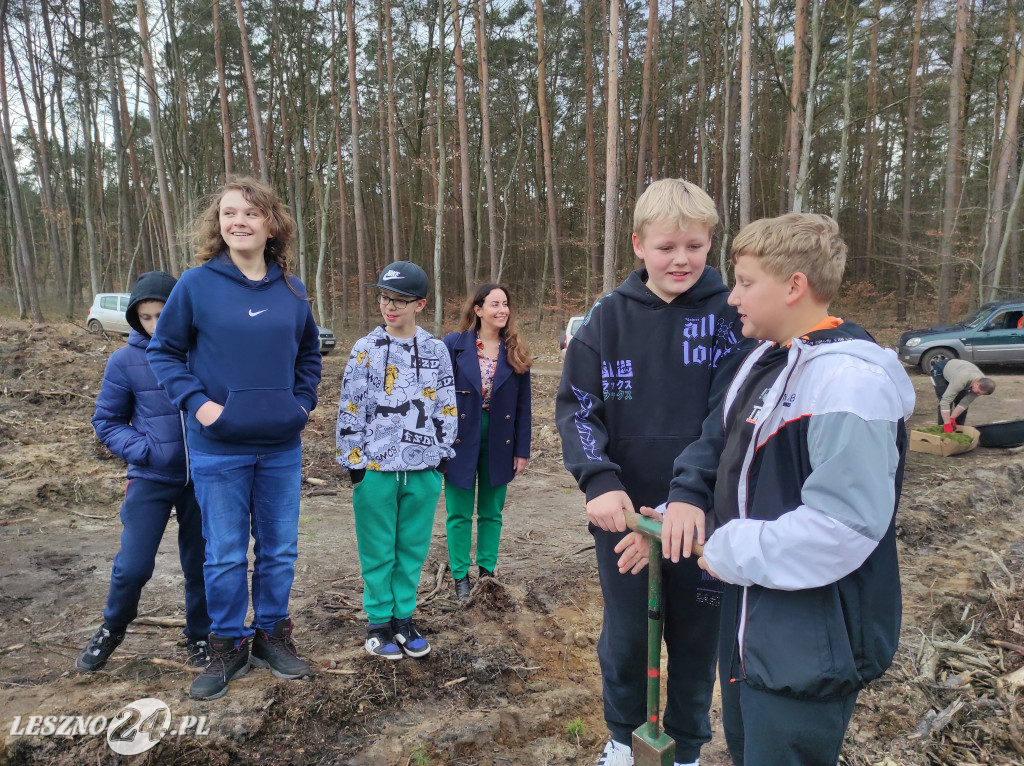 Wiosenne sadzenie lasu